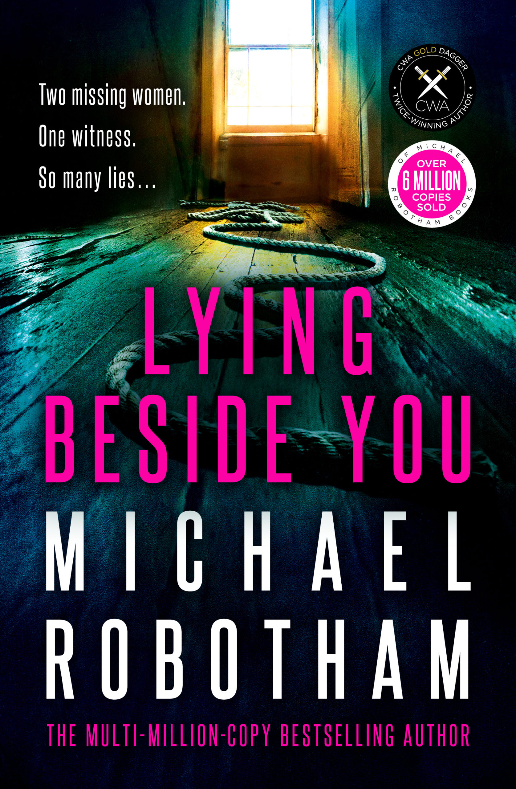 lying beside you book review